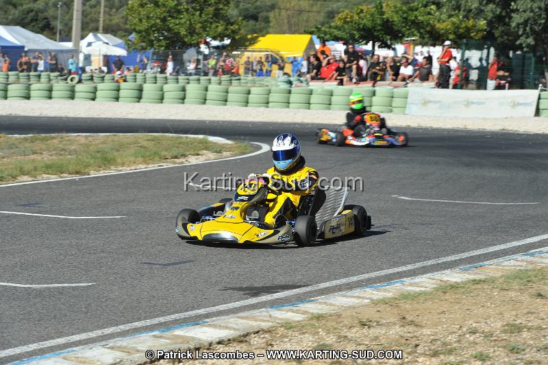 DSC (2520).JPG